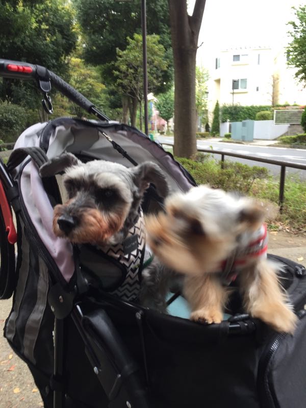 rblog-20161023010812-04.jpg