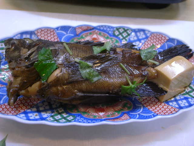 RIMG17658.JPG