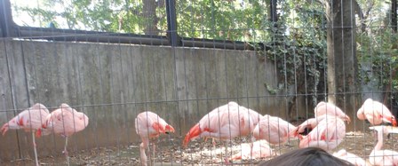 2012.10.8　夢見ヶ崎動物公園 (10).jpg