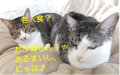 20121206_2.jpg