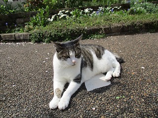IMG_9420ss.jpg