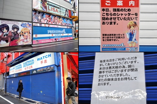 akiba120331c.jpg
