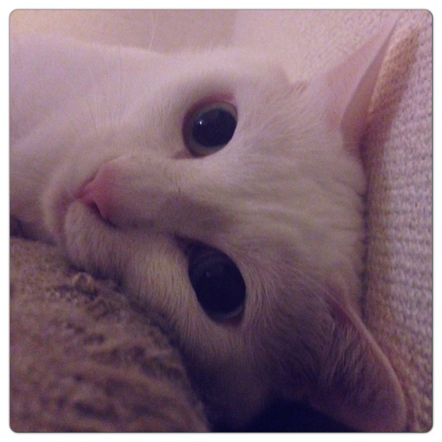 rblog-20130722224433-01.jpg
