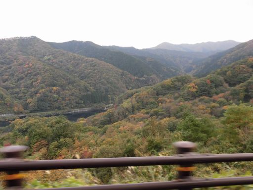 15.11.03紅葉５.JPG