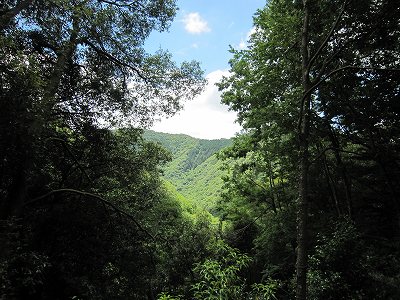 IMG_2174.jpg