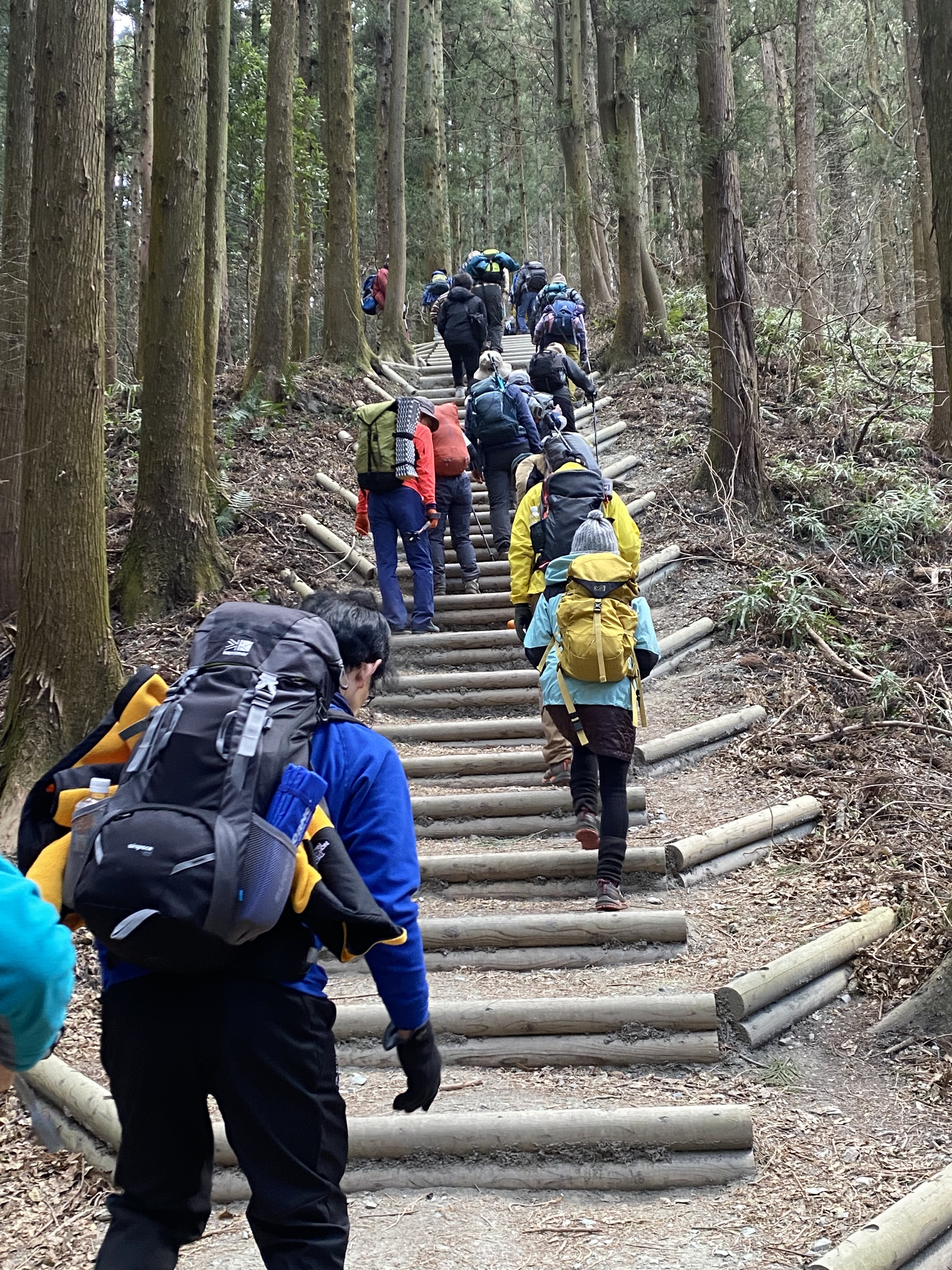 天空の蝋梅が満開～長瀞アルプス宝登山～ | 山への情熱 音楽への愛 - 楽天ブログ
