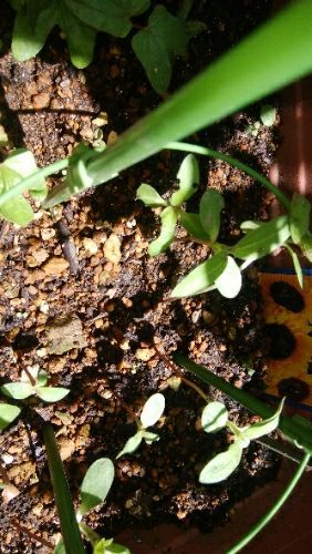 rblog-20180505070426-03.jpg
