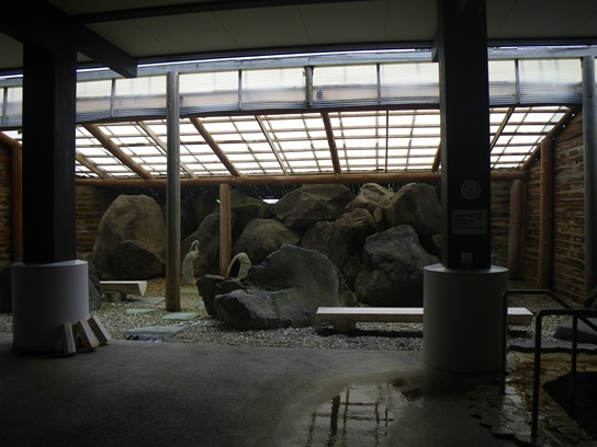 温泉