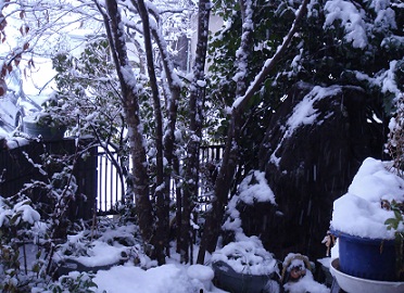 雪景色.jpg