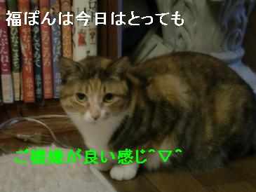 ふくご機嫌.JPG