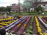 DSC_2823.jpg