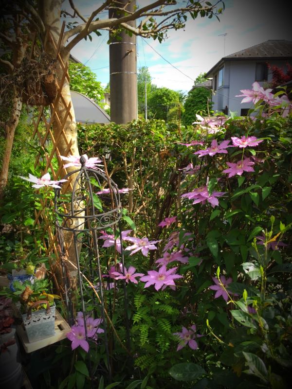 rblog-20150430204040-00.jpg