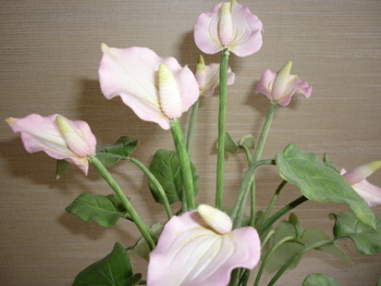 P1070374.JPG