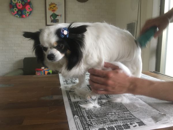 rblog-20160518154934-02.jpg