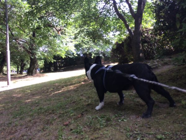 rblog-20170521180502-02.jpg
