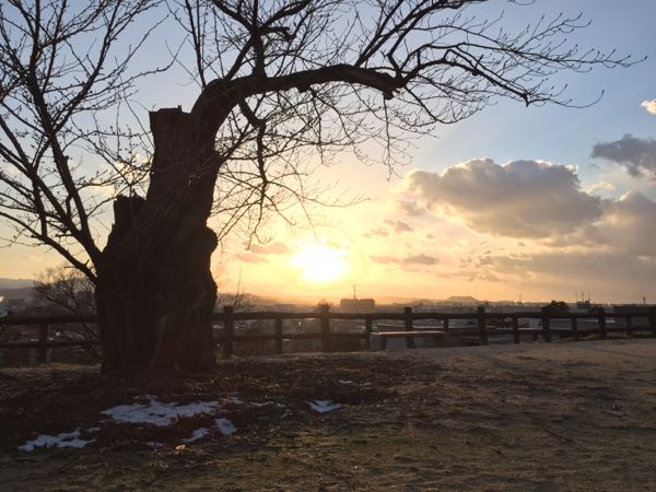 rblog-20150314114529-04.jpg