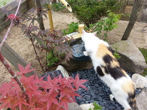 20130728_110743.jpg