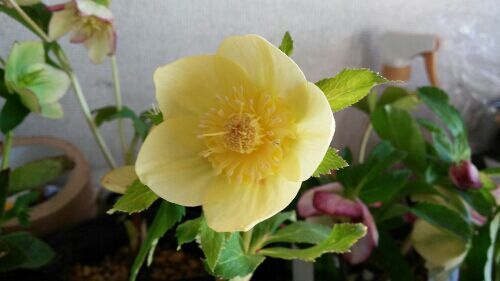 rblog-20170223085401-05.jpg