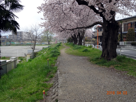 清川グラウンド.jpg