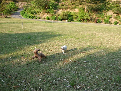 DSCF9579 400.jpg