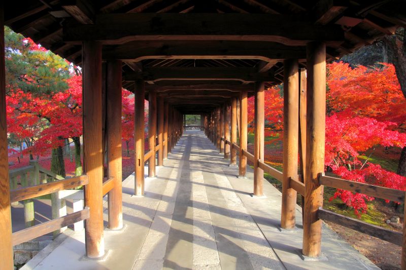 通天橋_002.jpg