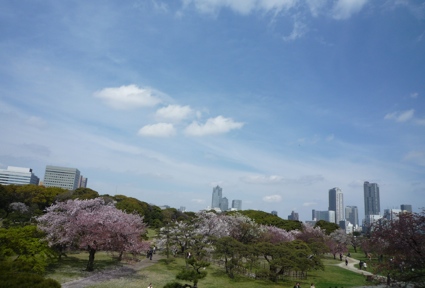 2012.04.15浜離宮庭園3.jpg