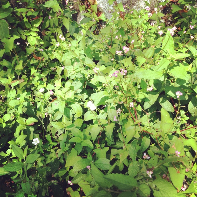 rblog-20130924132902-01.jpg