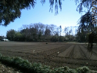 曲輪と土塁　２