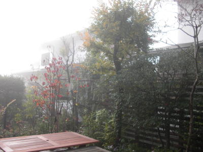 IMG_0001_215.jpg