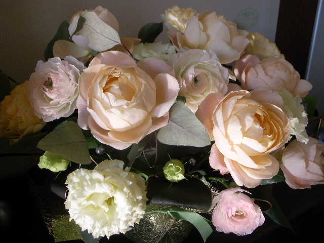 RIMG17636.JPG