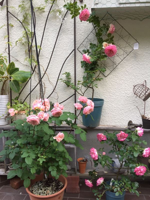 rblog-20170525224912-04.jpg