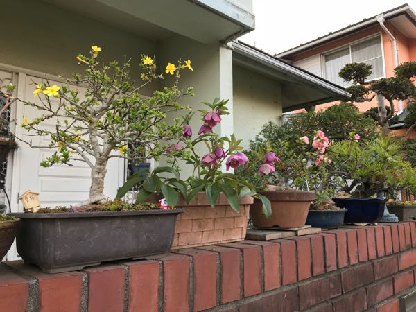 rblog-20180325191037-09.jpg