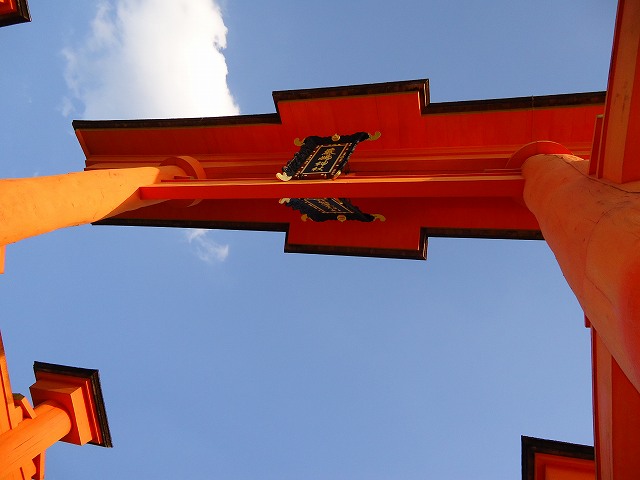 030.jpg