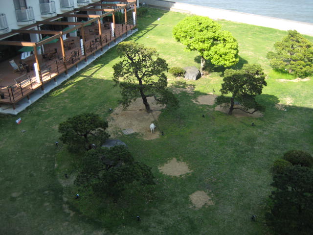 IMG_0572.JPG