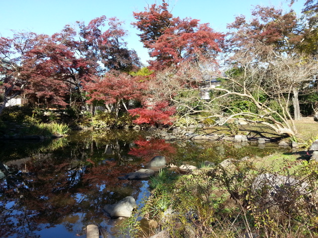 20131127江川邸庭園2.jpg