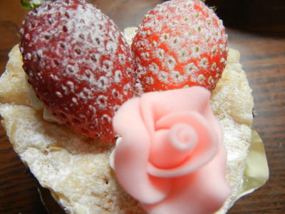 DSCN0855.JPG