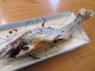 20141018_iwana_05.jpg