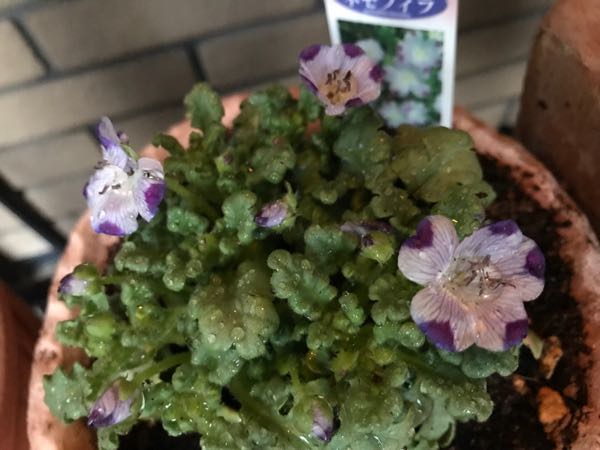 rblog-20180328191719-01.jpg