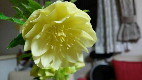rblog-20170223085401-09.jpg
