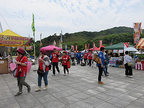 IMG_9327.jpg