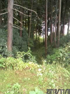 皆川城の堅堀１の上から