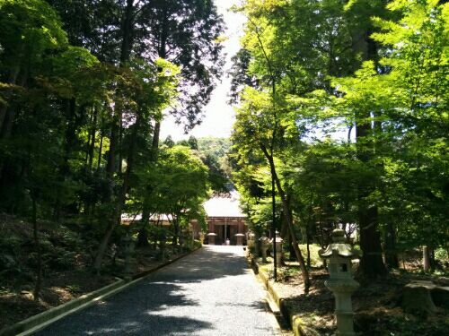 rblog-20170706115639-03.jpg