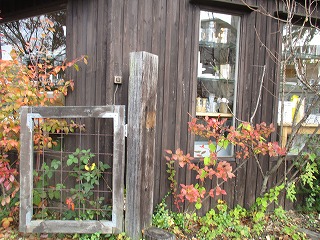 IMG_4318ss.jpg