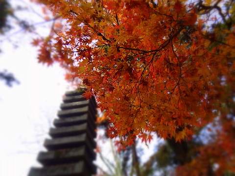 2012120207