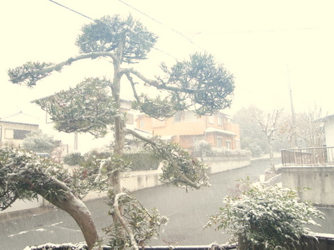 雪が降る-2