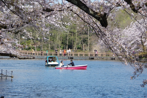 井の頭恩賜公園にて