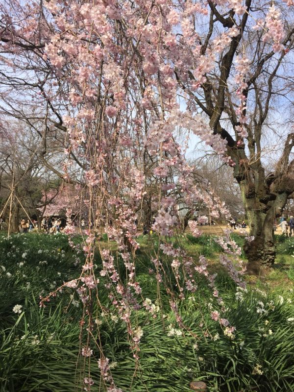 rblog-20170405001416-04.jpg