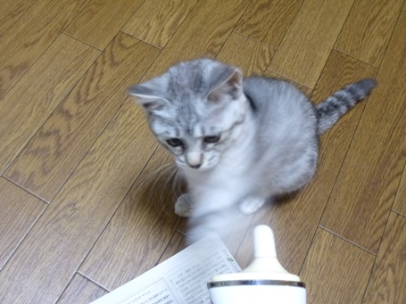 P1150479.JPG
