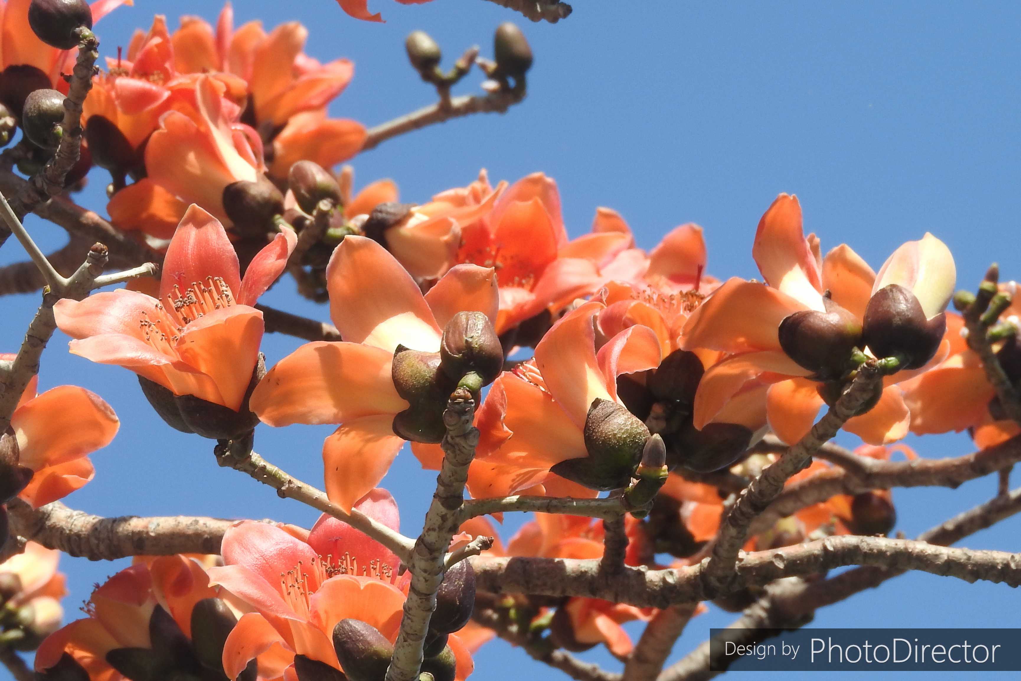 カテゴリ未分類 の記事一覧 ねこログ 楽天ブログ