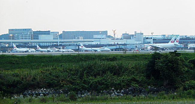 飛行機